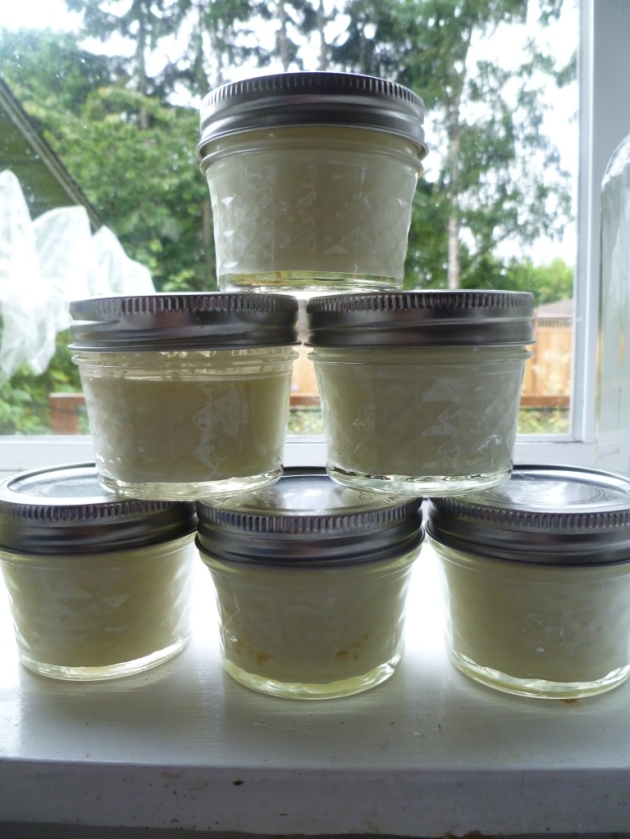 DIY yogurt in small glass jars, ready for on-the-go eating, lunch bags, and snacks at home - photo: Rebecca Rockefeller